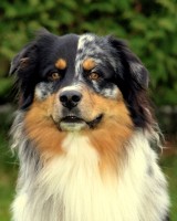 /album/fotogalerie/pb130817-jpg1/