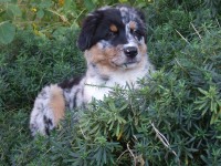 /album/fotogalerie/evelyngarten1408080005-jpg/