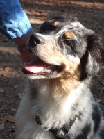 /album/fotogalerie/eyko4monate0009-jpg/