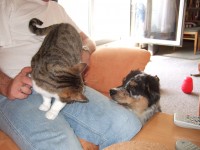 /album/fotogalerie/eyko-jpg/